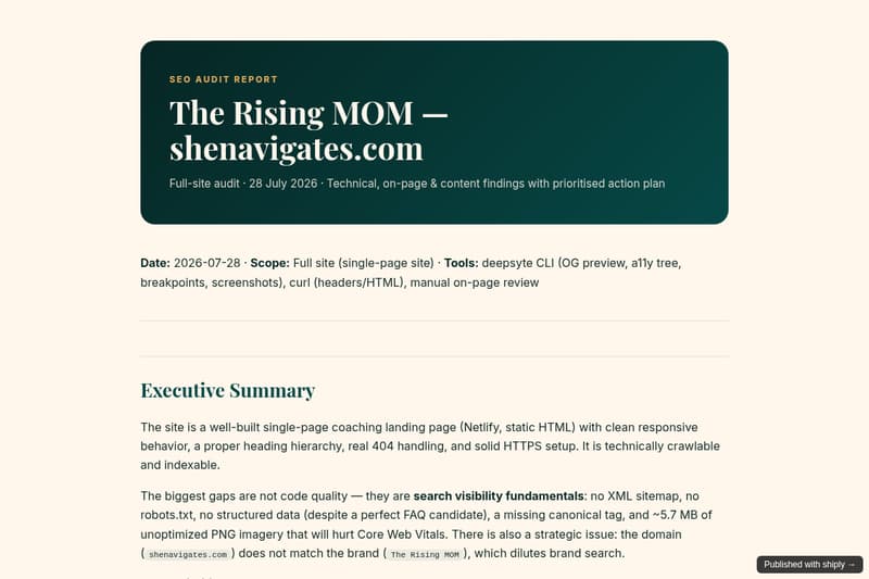 SEO Audit — The Rising MOM